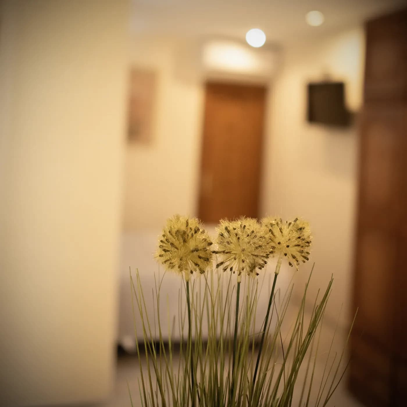 apartamento barato