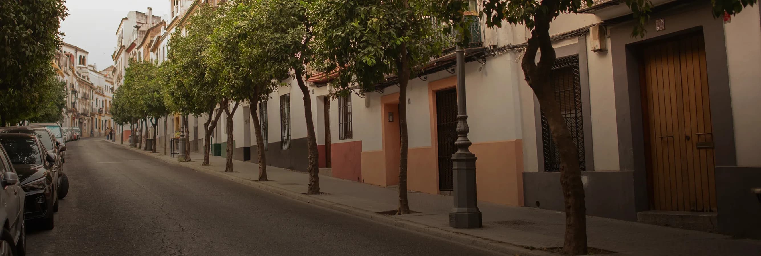 imagen de servicios